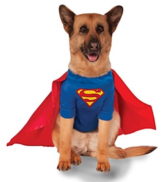 Big Dogs' Superman Dog Costume