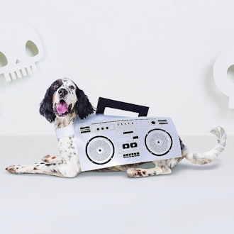 Boombox Dog Costume - Hyde and Eek! Boutique