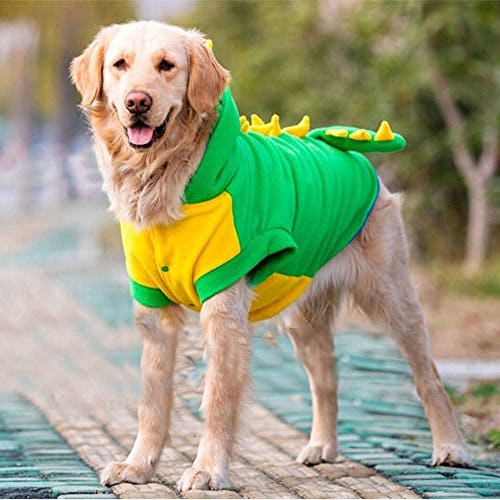 Dog aerobics outlet costume