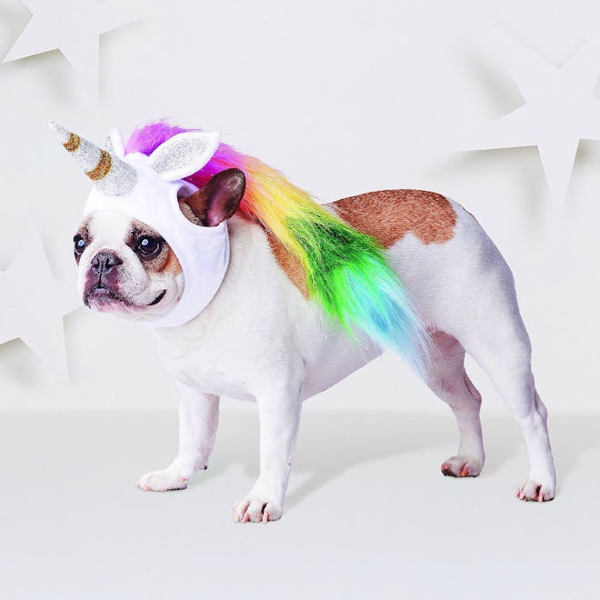 Unicorn Headwear Costume for Dog - White - Hyde and Eek! Boutique