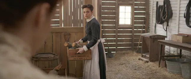 Was Bridget Sullivan From Lizzie A Real Person The Borden Family Was Bridget Sullivan From Lizzie A Real Person The Borden Family