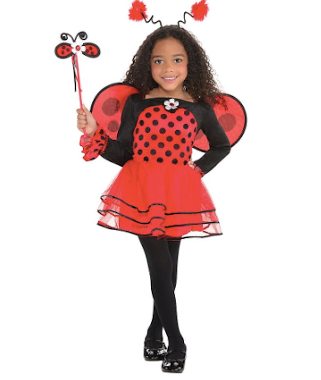 Ballerina Ladybug Costume