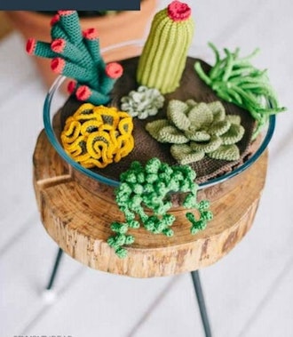 Crochet Succulent And Cactus/Amigurumi eBook