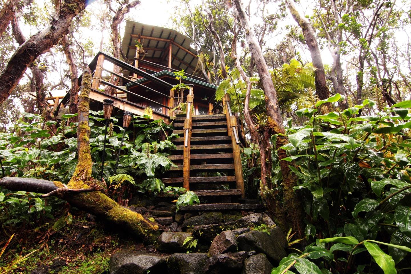 10 Amazing Treehouse Als You Can Find On Airbnb From Montana To 10 Amazing Treehouse Als You Can Find On Airbnb From Montana To Bali