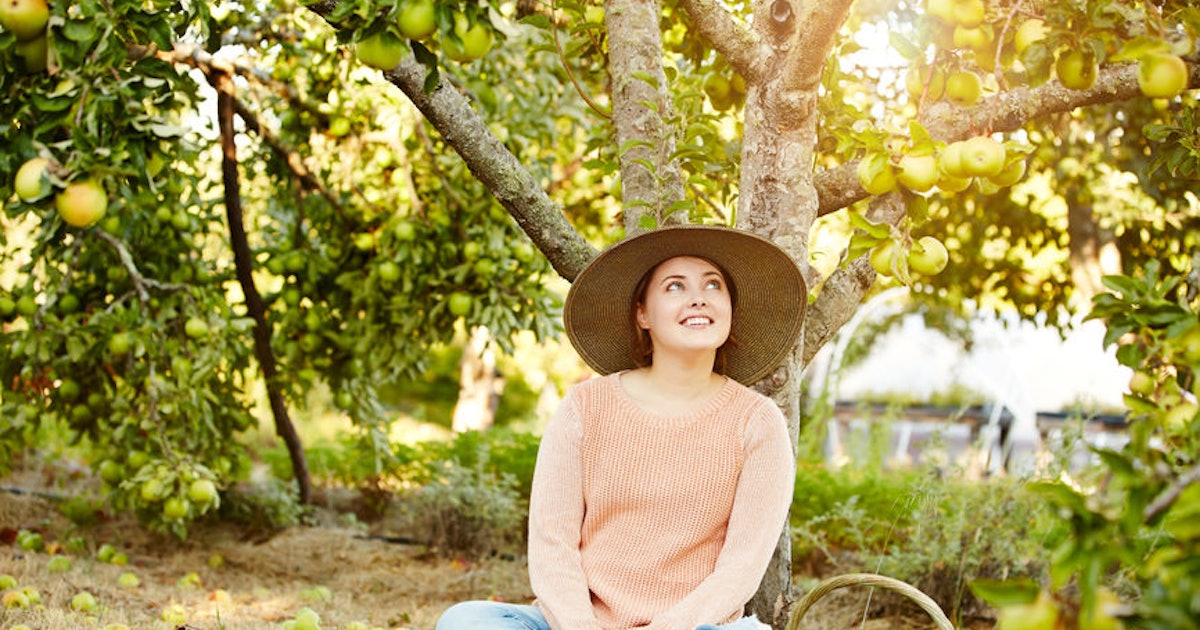 Apple Picking Is Evil Smallbrain Medium