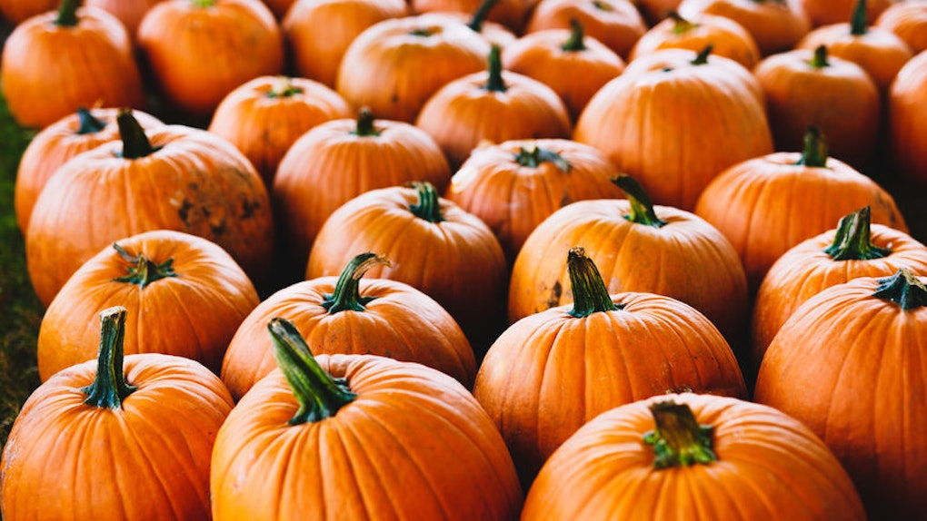 3 Myths About The Autumn Equinox You Ve Probably Mistaken For Facts