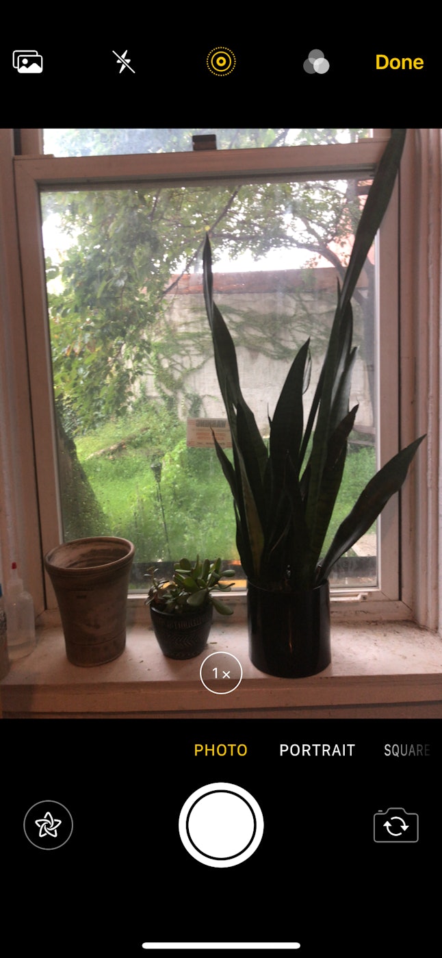 Where Are Camera Effects In Apple iOS 12? This Feature Is One Of The