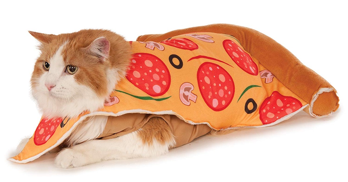 Cute Cat Halloween Costumes That You'll Want To Pounce On Stat