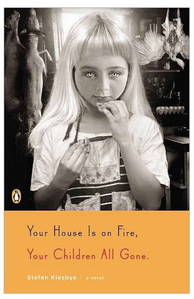 'Your House Is on Fire, Your Children All Gone' by Stefan Kiesbye