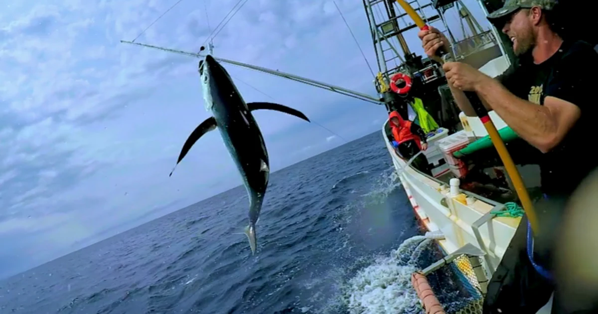 Will 'Battlefish' Return For Season 2? Netflix Wants To Reel In Reality ...