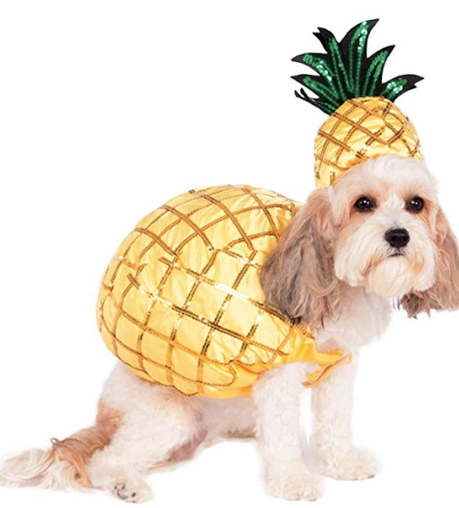 Rubie's Pineapple Pet Costume