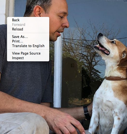 Is Dog Grooming Safe? 6 Things Every Dog Owner Should Know Before