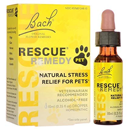 Is My Dog Anxious? Here Are 8 Things To Help Your Pup Feel More Relaxed