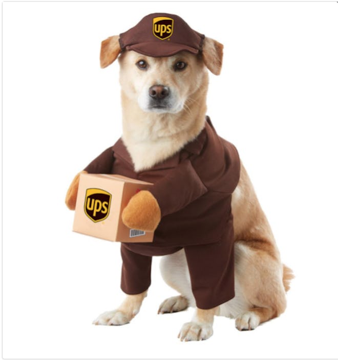 UPS Pay Dog Costume