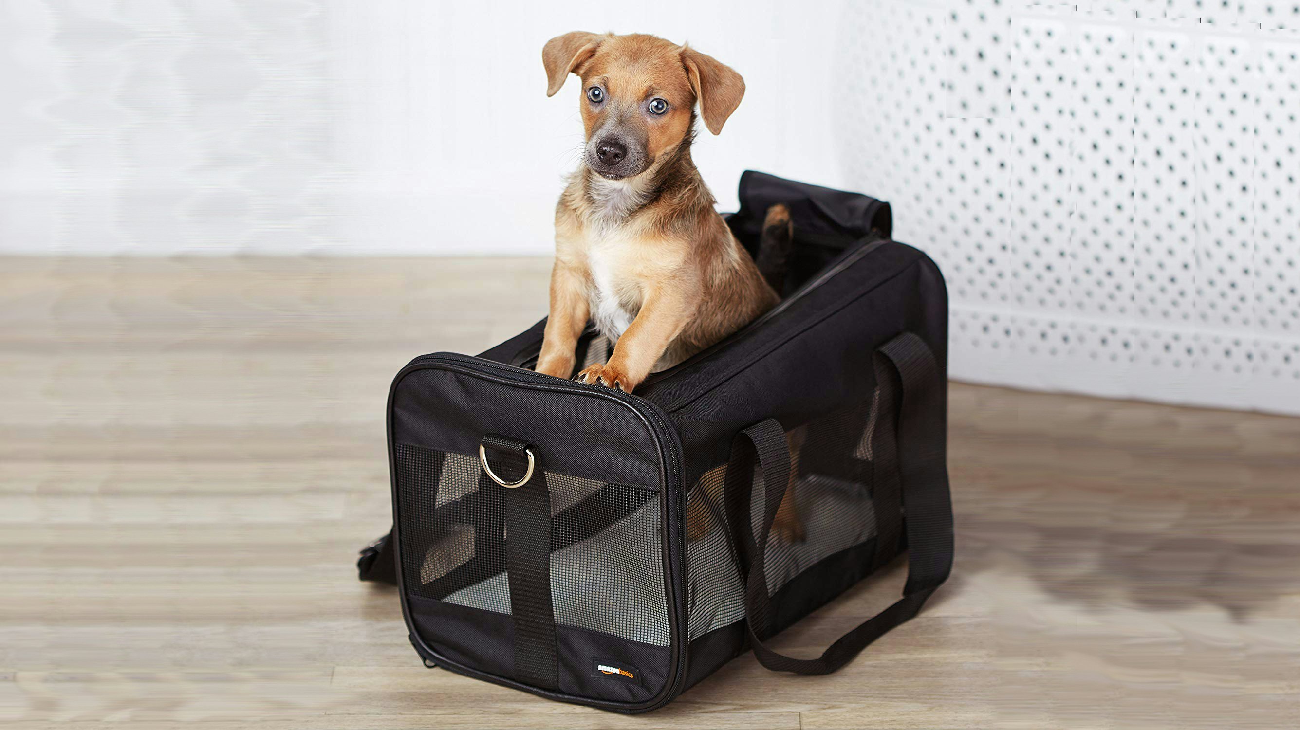 The 7 Best Dog Carriers For Airline Travel