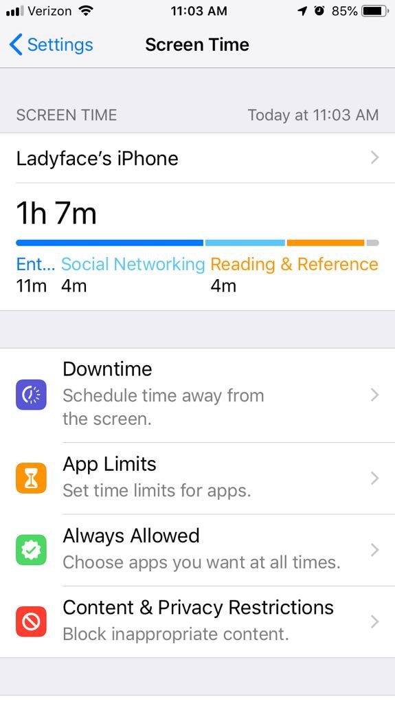 The Screen Time feature also lets you limit your app use and schedule downtime.