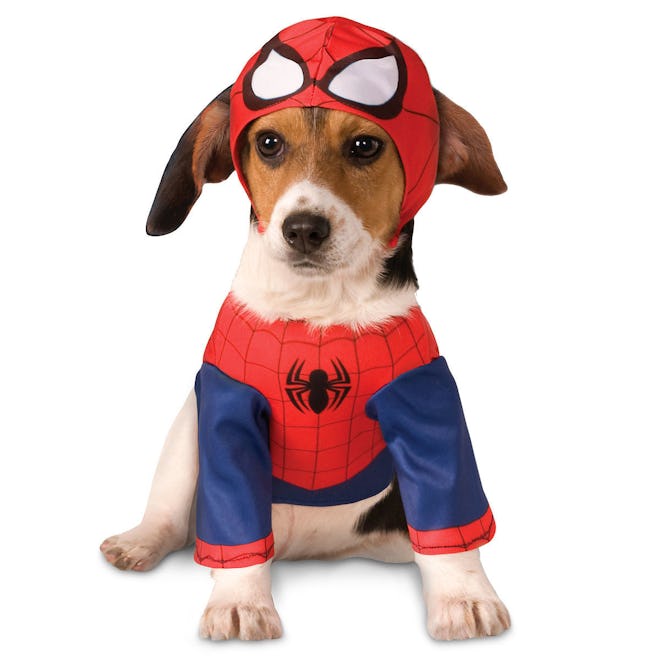Spider-Man Pet Costume