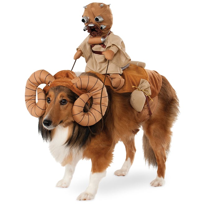 Bantha with Tusken Raider Pet Costume