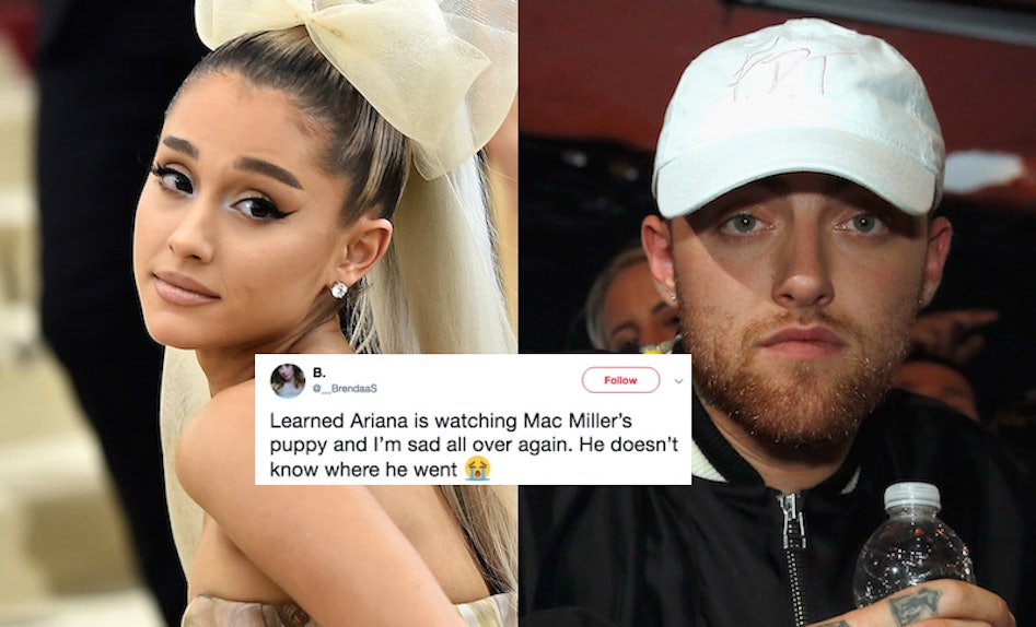 Did Ariana Grande Adopt Mac Miller S Dog She S Cuddling With Myron In Her Latest Post