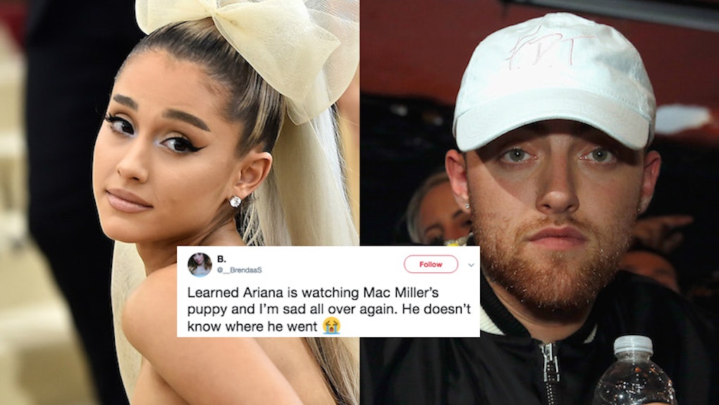 Did Ariana Grande Adopt Mac Miller S Dog She S Cuddling With Myron In Her Latest Post