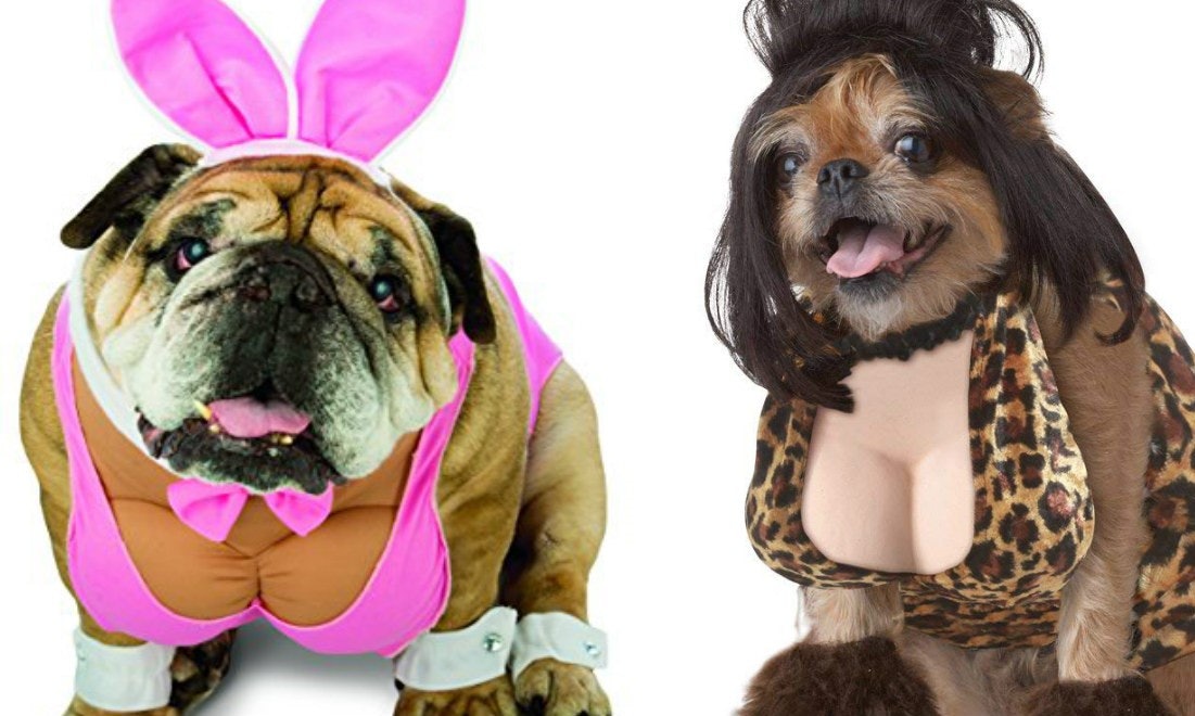 Sexy Dog Halloween Costumes Are A Thing Can You Please Not