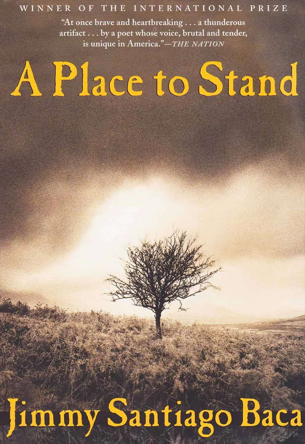 5 Books About Mass Incarceration To Read, According To The