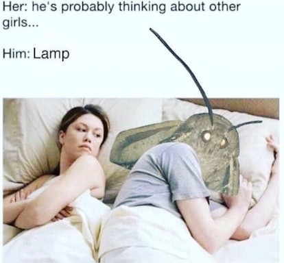seems me, excellent