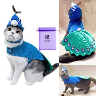 Bro'Bear Pet Peacock Costume with Hat for Cats 