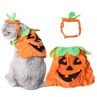 B Bascolor Pumpkin Halloween Costume for Cats