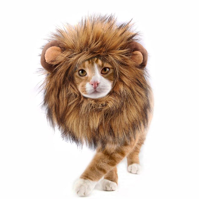 Onmygogo Lion Mane Wig for Cats