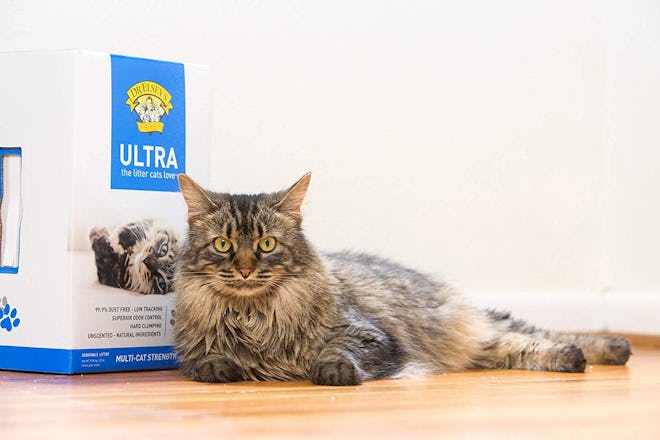 Dr. Elsey's Cat Ultra-Premium Clumping Cat Litter