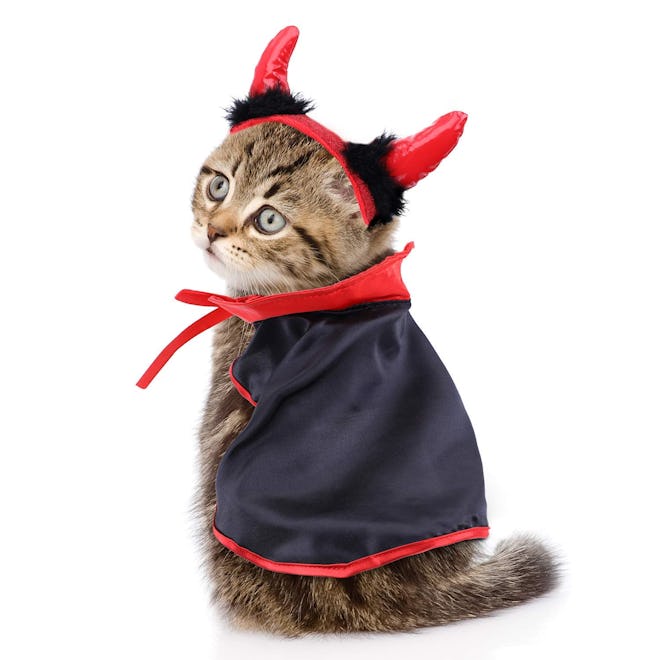 Jetec Cat Cape Pet Cloak and Adjustable Horn Headdress 