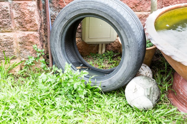 how-to-keep-waterbugs-out-of-your-apartment-far-far-away-from-you