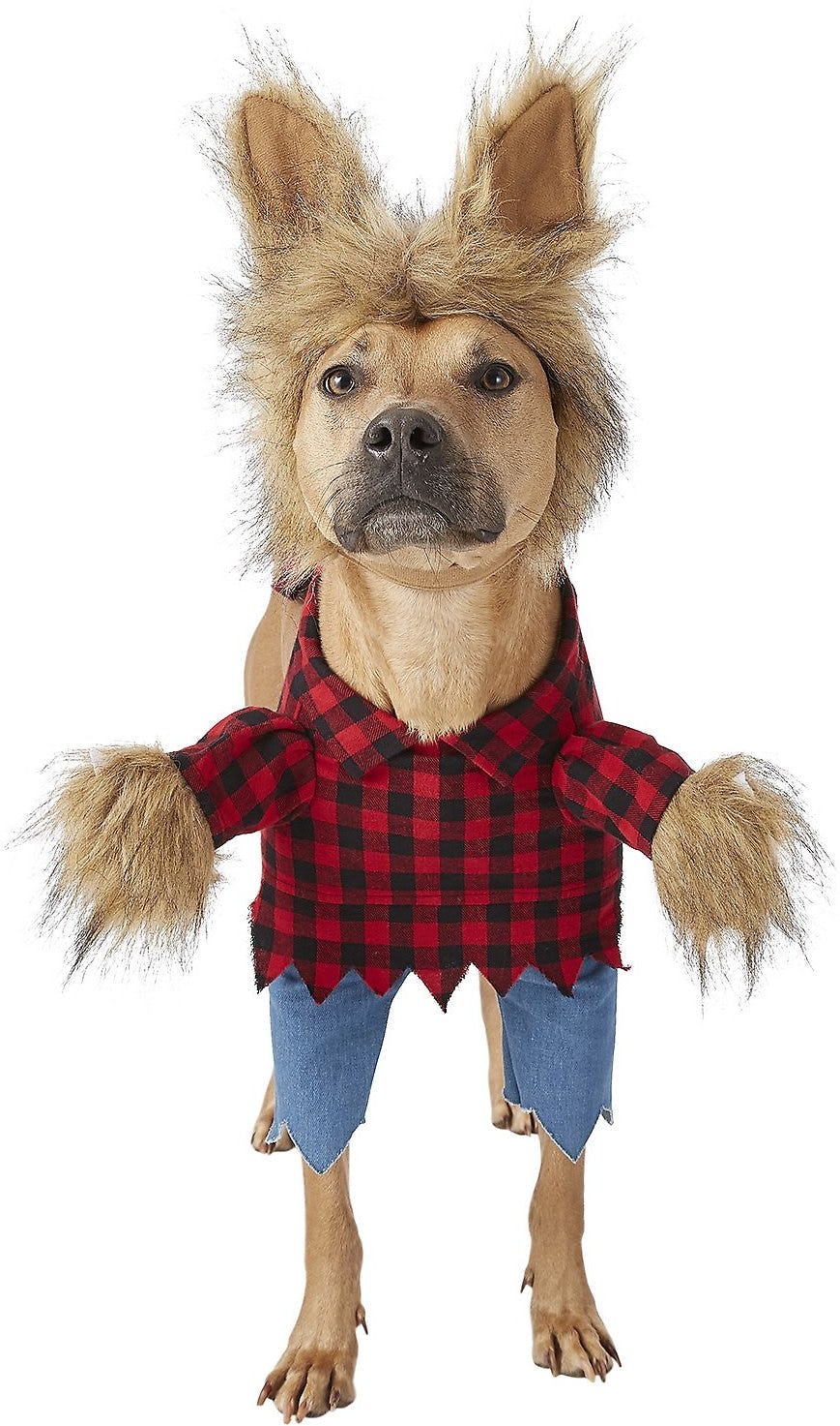 11 Funny Dog Halloween 2018 Costumes That Your Pup Won\u0027t