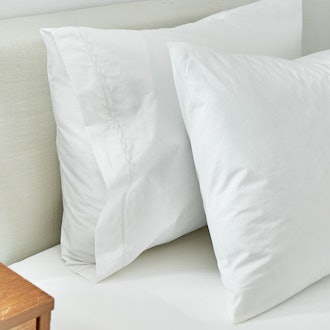 Splendid Washed Percale Standard Pillowcase, Pair