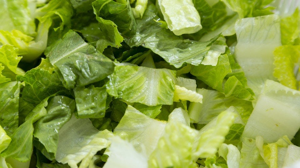 Is Romaine Lettuce Safe Now? The CDC's Update On The E. Coli Outbreak