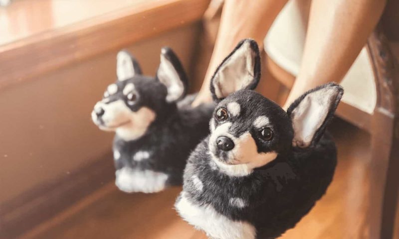 Slippers That Look Like Your Dog Are 