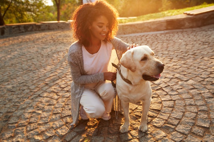 Woman walking her dog in the park at sunset.