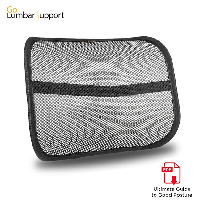 Lumbar Lower Back Support