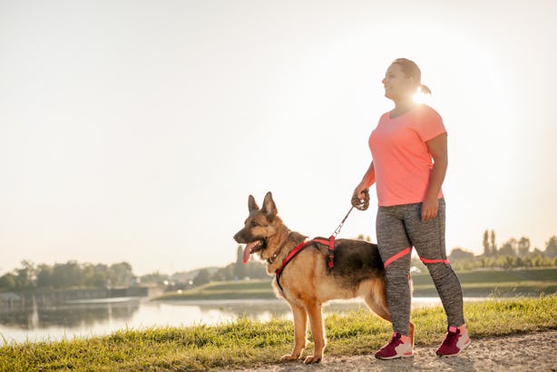 how-long-should-your-dog-s-walks-be-these-are-the-factors-to-take-into