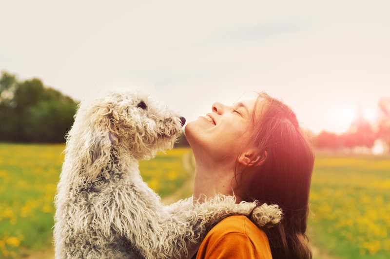 A woman and a dog hug in a sunny field for a picture-perfect moment. 