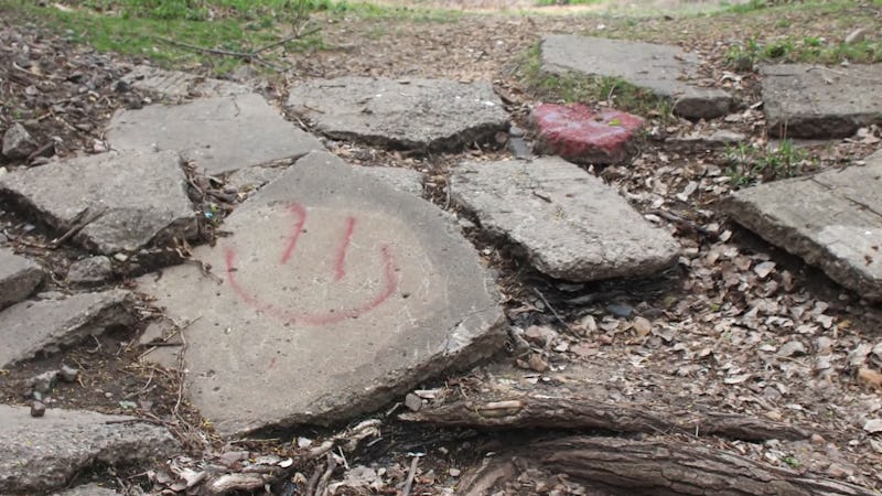 The Smiley Face Killers Theory Has Already Been Debunked By The Authorities But An Oxygen Series Is Still Investigating