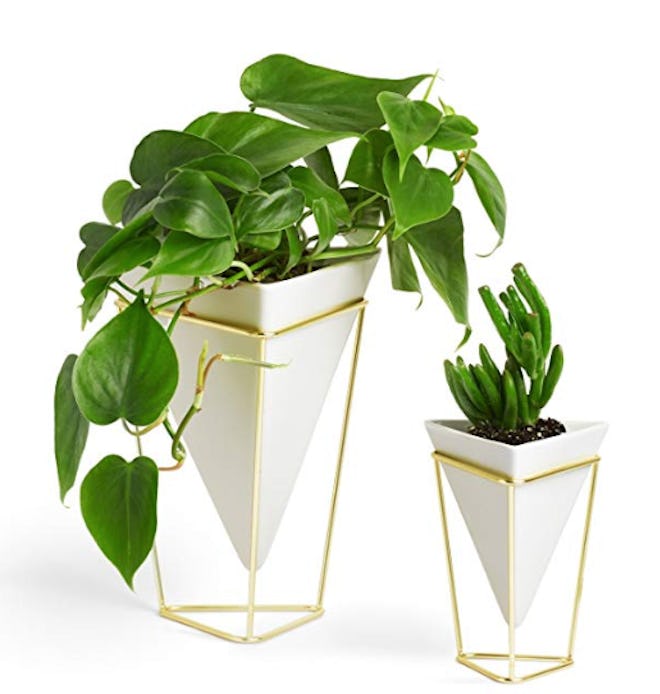 Trigg Desktop Planter Vase & Geometric Container