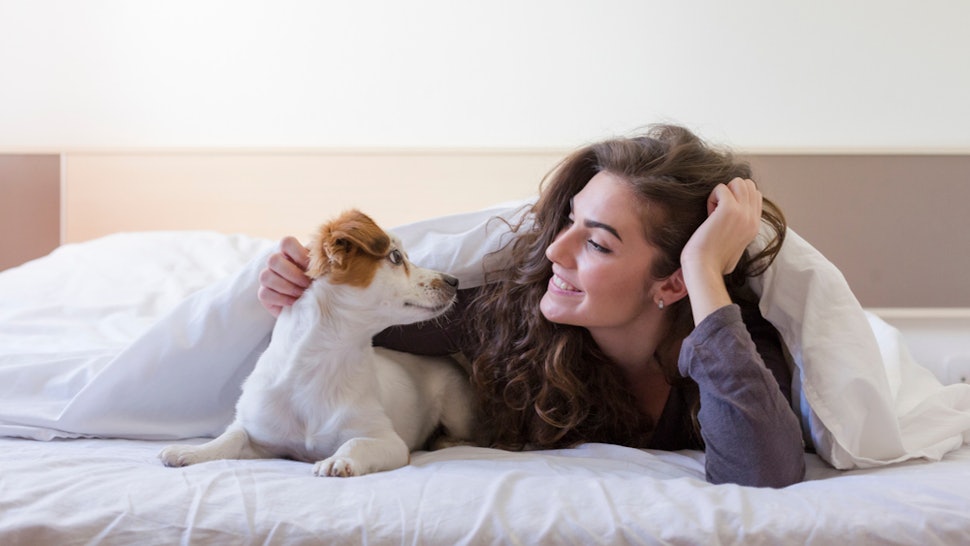 The Best Sheets For Dog Hair