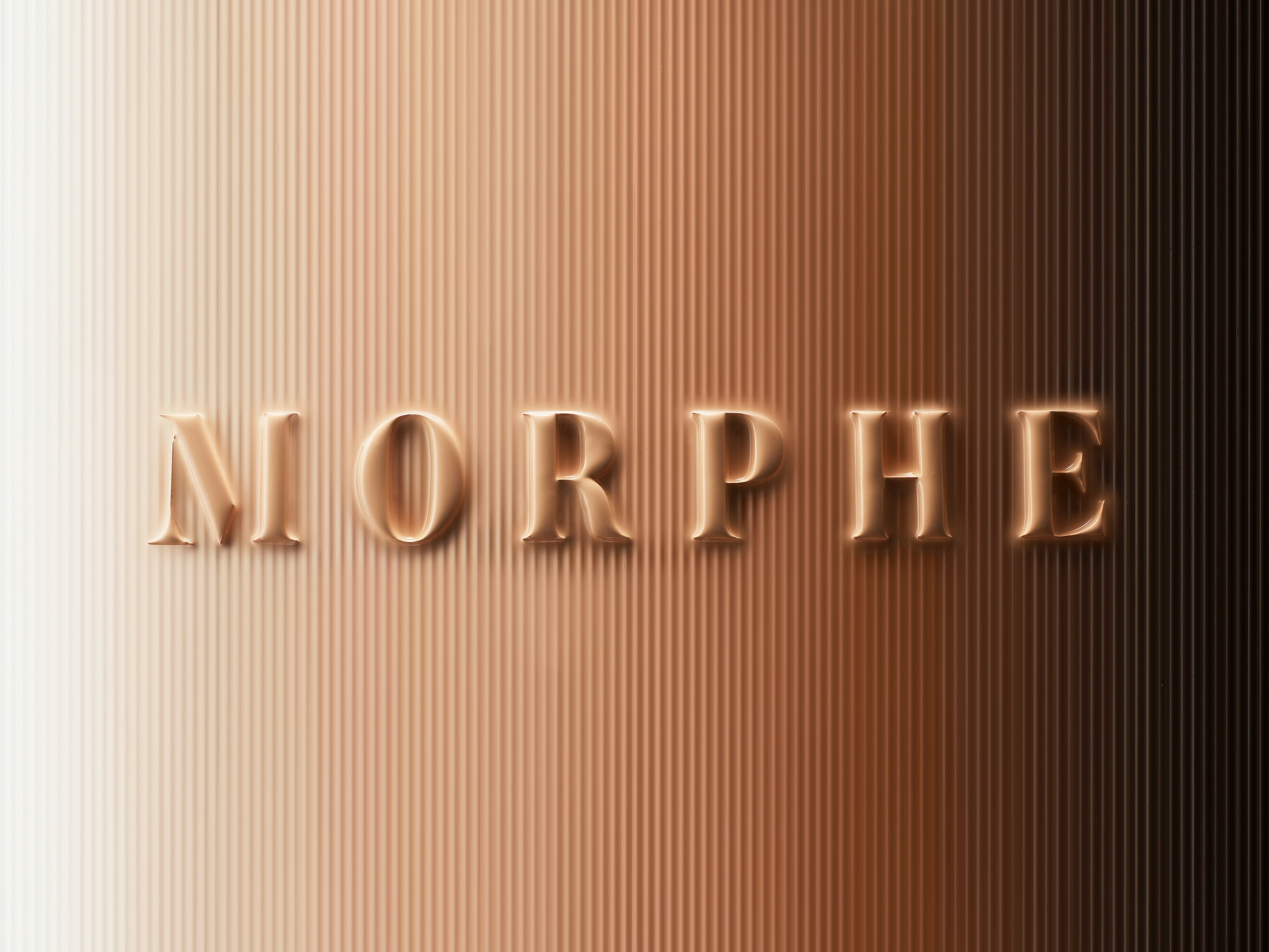 Morphe Foundation Chart