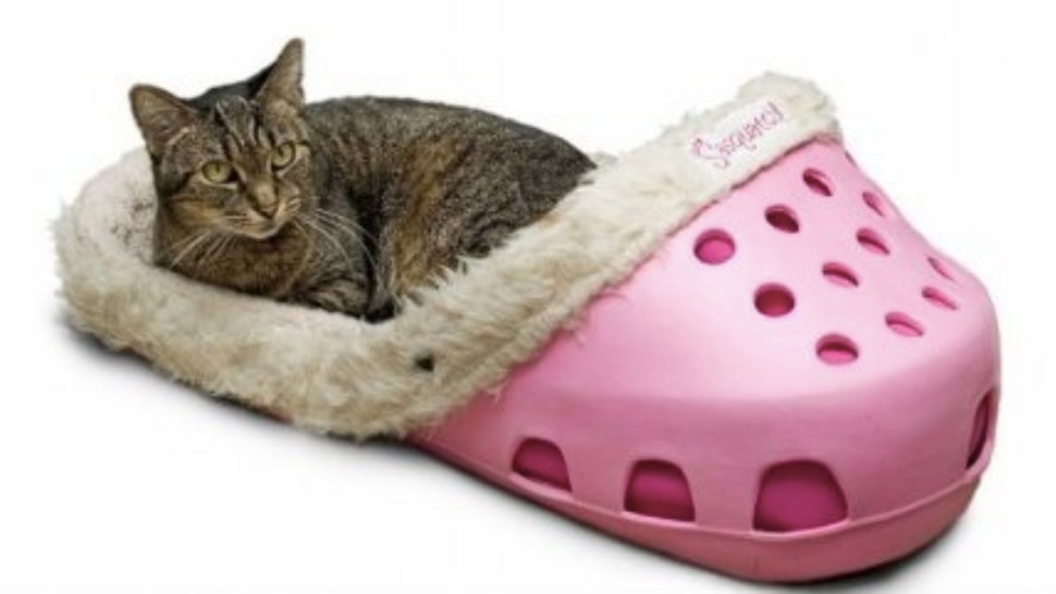 This Croc Like Pet Bed Is The 2000s Vibe You And Your Furry Friend