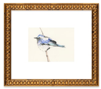 Bluebird by Lee Cline