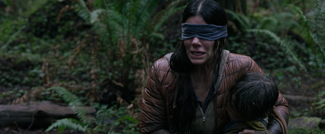 The 17 Scariest ‘Bird Box’ Moments That’ll Make You Wish You Had Your ...