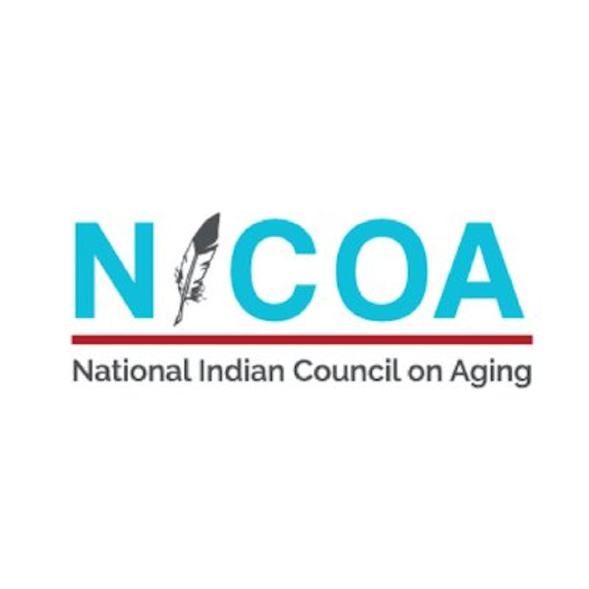 7 Native American Organizations To Donate To For The Indigenous Peoples