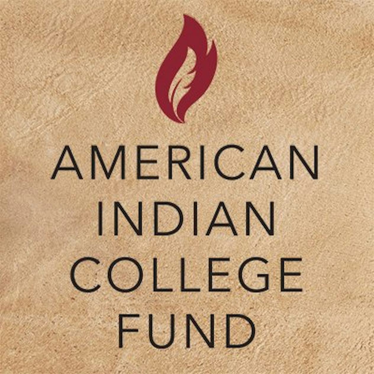 7 Native American Organizations To Donate To For The Indigenous Peoples